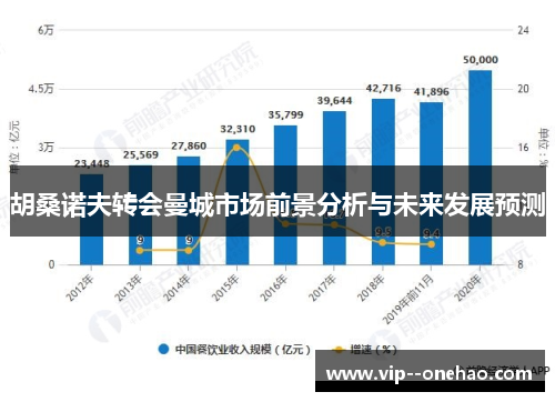胡桑诺夫转会曼城市场前景分析与未来发展预测