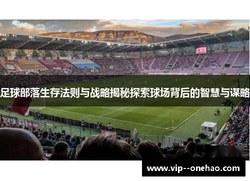 足球部落生存法则与战略揭秘探索球场背后的智慧与谋略