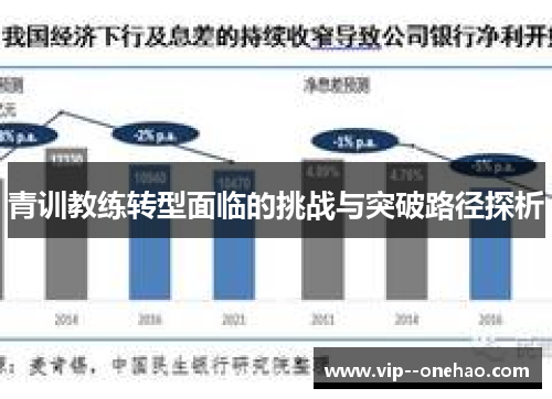 青训教练转型面临的挑战与突破路径探析