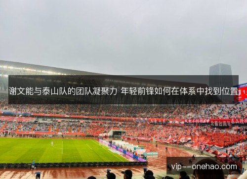 谢文能与泰山队的团队凝聚力 年轻前锋如何在体系中找到位置